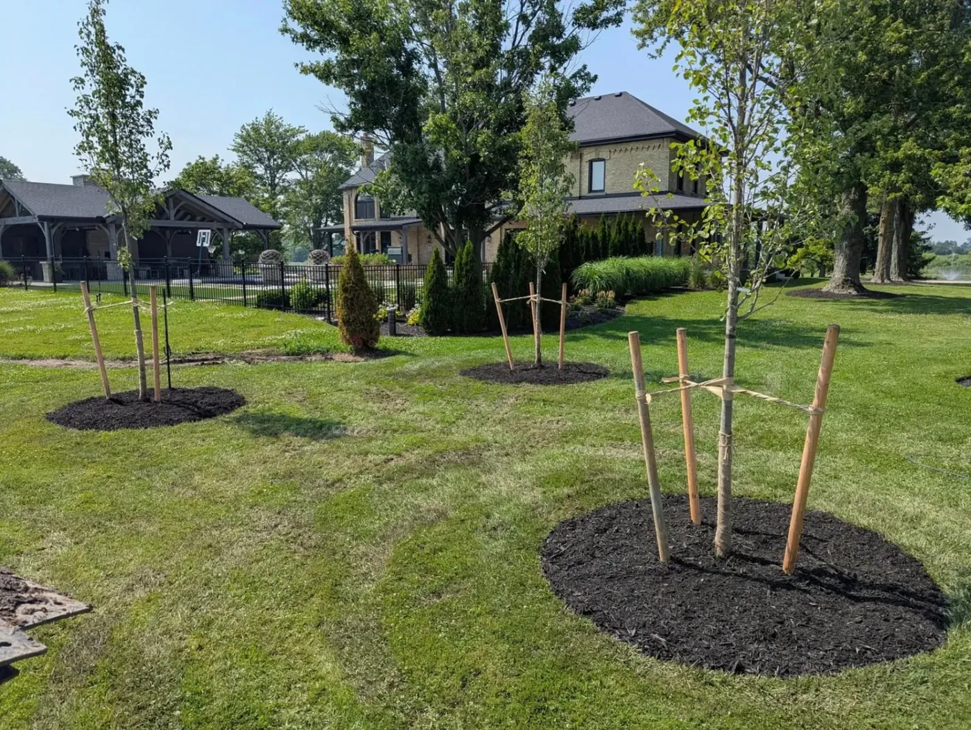 Manicured estate landscaping